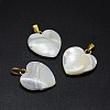 Shell Pendants SSHEL-E564-21A-G-1