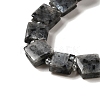 Natural Larvikite Beads Strands G-L596-A16-01-4