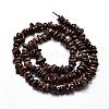 Natural Bronzite Chip Beads Strands X-G-E271-127-2