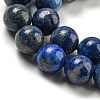 Natural Lapis Lazuli Beads Strands G-E483-17-8mm-6