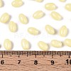 Baking Paint Glass Seed Beads SEED-T007-15B-4
