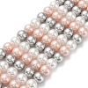 Shell Pearl Bead Strands BSHE-L017-20-1