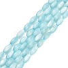 Natural Freshwater Shell Beads Strands SHEL-C010-01C-1