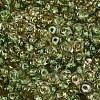 Picasso Glass Seed Beads SEED-N010-01E-3
