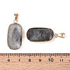 Natural Labradorite Pendants G-N349-03C-G-3