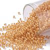 TOHO 11/0 Round Beads X-SEED-TR11-0984-1