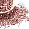 Electroplate Glass Seed Beads SEED-S042-01B-14-1