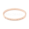 Clear Cubic Zirconia Bangle STAS-P303-02-2