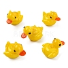 5Pcs Handmade Lampwork Beads LAMP-YW0001-55-1