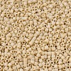 MIYUKI Delica Beads Small X-SEED-J020-DBS1591-3
