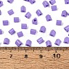 FGB Baking Paint Glass Seed Beads SEED-Q040-09A-16-4