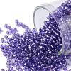 TOHO Round Seed Beads SEED-XTR11-2224-1
