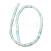 Handmade Lampwork Beads Strands LAMP-Q037-02A-06-2