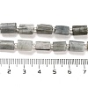 Natural Eagle Eye Stone Beads Strands G-G068-A24-01-5