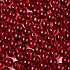 FGB Transparent Glass Seed Beads SEED-N013-01C-09-4