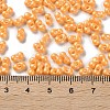 Glass Seed Beads SEED-L011-04A-06-4
