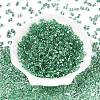 Baking Paint Transparent Glass Seed Beads SEED-N006-05J-2