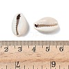Natural Cowrie Shell Beads X-BSHE-O007-73-4