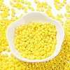 Baking Paint Glass Seed Beads SEED-H002-I-A502-2