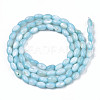 Natural Freshwater Shell Beads Strands SHEL-N003-25-B02-2
