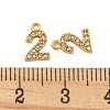 304 Stainless Steel Pendants STAS-L080-002G-02-3
