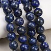Natural Lapis Lazuli Beads Strands G-S333-10mm-013-8