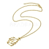 Crystal Cage Holder Necklace NJEW-JN04606-02-5