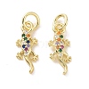 Brass Micro Pave Colorful Cubic Zirconia Charms KK-E068-VF117-2