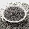 MIYUKI Round Rocailles Beads SEED-X0055-RR3202-2