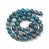 Natural Apatite Beads LS-G-E481-05-8mm-01-3