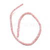 Dyed Natural Freshwater Shell Beads Strands BSHE-G039-07D-2