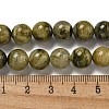 Natural Green Tourmaline Beads Strands G-B099-C05-05-5