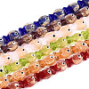 Handmade Gold Foil Glass Beads Strands FOIL-N032-01-2