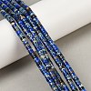 Natural Imperial Jasper Beads Strands G-Q171-A01-01M-2
