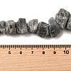 Natural Labradorite Beads Strands G-S386-B04-5