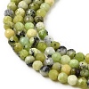 Natural Serpentine Beads Strands G-P603-C-2mm-06-4