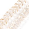 Transparent Glass Beads Strands LAMP-H061-01D-02-1