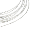 925 Sterling Silver Wire FIND-BBC0002-89D-1