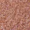 MIYUKI Delica Beads SEED-J020-DB0054-3