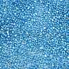 Baking Paint Transparent Glass Seed Beads SEED-N006-05L-3