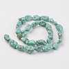 Natural Green Turquoise Beads Strands G-N0312-01-3