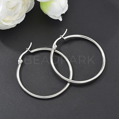 Tarnish Resistant 304 Stainless Steel Hoop Earrings EJEW-F105-08P-1