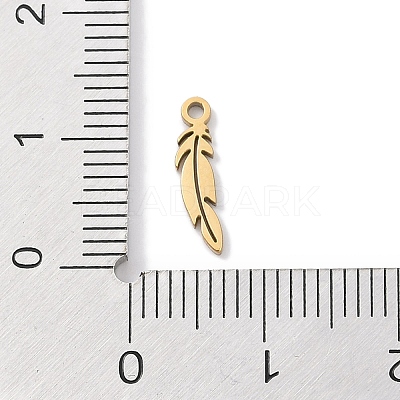 304 Stainless Steel Charms STAS-K286-01G-G-1