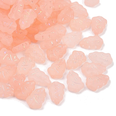 Frosted Transparent Acrylic Beads X1-OACR-P029-04B-03-1