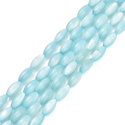 Natural Freshwater Shell Beads Strands SHEL-C010-01C-1