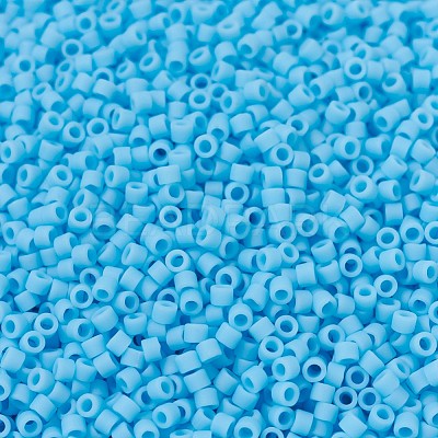 MIYUKI Delica Beads X-SEED-J020-DB0755-1