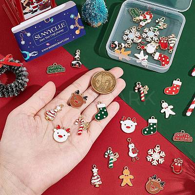 40Pcs 20 Style Alloy Enamel Pendants ENAM-SC0003-69-1