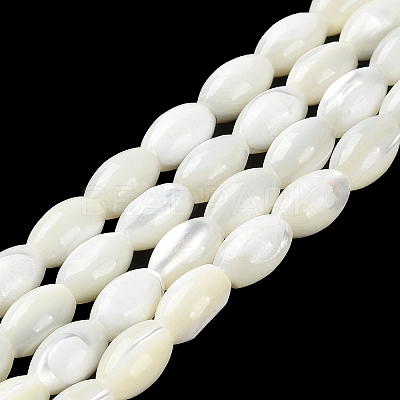 Natural Trochus Shell Beads Strands BSHE-E030-02B-1