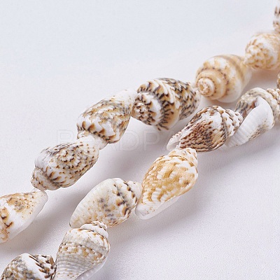Natural Sea Shell Beads Strands X-BSHE-K012-07-1