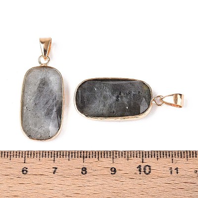 Natural Labradorite Pendants G-N349-03C-G-1